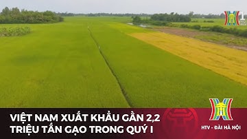 Việt Nam xuất khẩu gần 2,2 triệu tấn gạo trong quý I | Tin tức mới nhất hôm nay