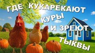 видео: Курятник, грядки и наша маленькая Германия картинка: Курятник, грядки и наша маленькая Германия
