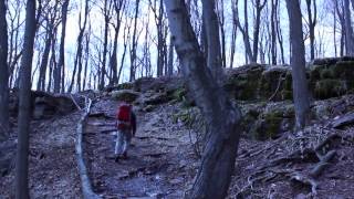 Outdoor Action First Year Program