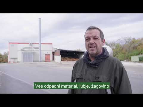 Video: Vplivi Povišane Temperature In Usedanja Na Hitrost Paše Zelenega Morskega Ježa: Posledice Za Alpske Gozdove, Ki So Izpostavljeni Povečanemu Usedanju S Podnebnimi Spremembami