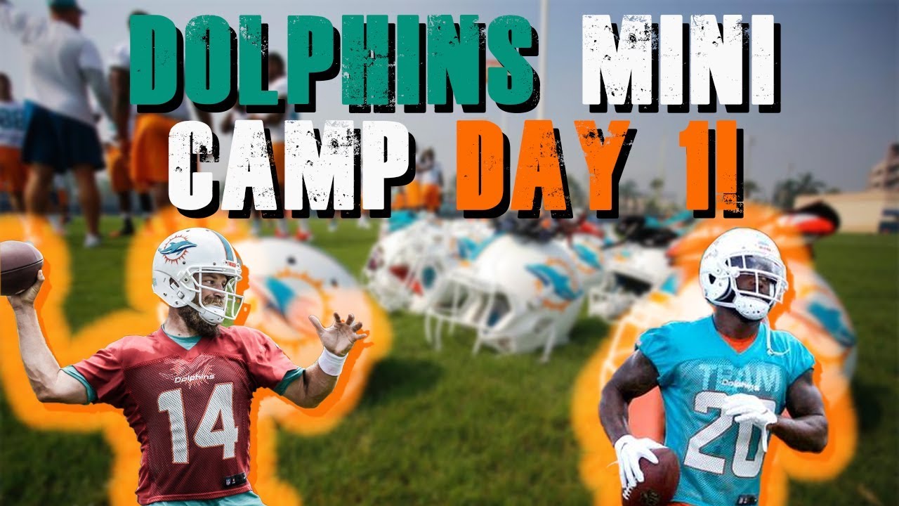 Miami Dolphins Mini Camp Day 1!/ Reshad Jones Is Here! YouTube