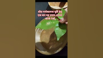 शिघ्र मनोकामना पूर्ण के लिए अवश्य  करें बेलपत्र 1चावल का दाना,चंदन का उपाय #pradeepmishra ji upay