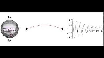 Visualizing a decaying qubit and a damped mechanical resonator