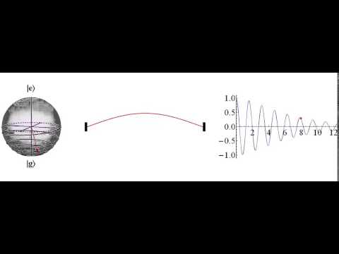 Visualizing a decaying qubit and a damped mechanical resonator