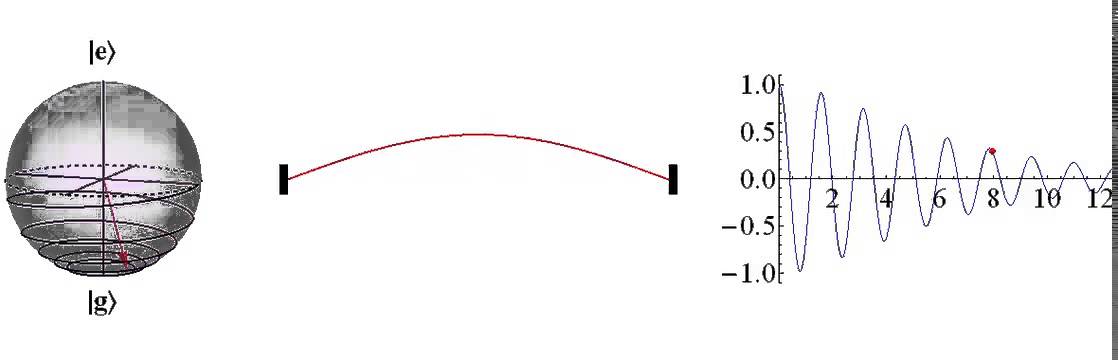 Visualizing a decaying qubit and a damped mechanical resonator