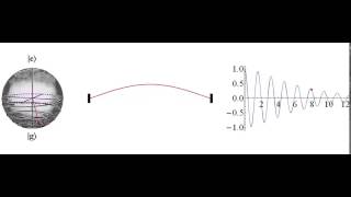 Visualizing a decaying qubit and a damped mechanical resonator