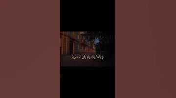 #تلاوات #تلاوة_خاشعة #القرآن_الكريم #علي_جابر