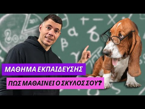 Πώς μαθαίνει ο