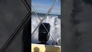 Mercury 225 Optimax Top Speed