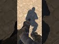 Is it possible to do this in CS:GO?