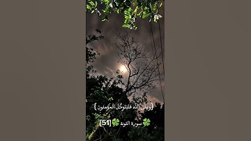 استمتع جيدا وارح قلبك تلاوة خاشعة 🎧 #القرآن_الكريم #راحة_نفسية #تلاوة_خاشعة #قرآن #قرآن