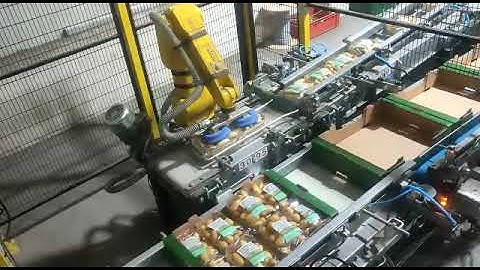 Robotic solution for secondary packaging. Pick and Place. Potatoes. Vacuum gripper. GRIPWIQ