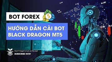 Cài Bot Black Dragon Trên MT5 – Full Hướng Dẫn Cho Trader Mới