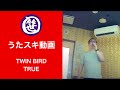 TWIN BIRD/TRUE【うたスキ動画】