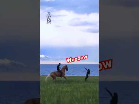 مجسمه اسب از سیم قدرت و احساس   مجسمه سازی وایر آرت