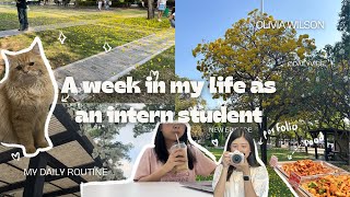 A week in my life as an intern student at Rangsit University, Thailand 🇹🇭 Job,University,Portfolio