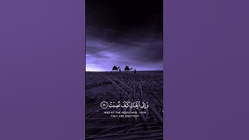 سورة الغاشية | #قران_كريم #اكسبلور #المصحف #راحة_نفسية #عبدالرحمن_مسعد