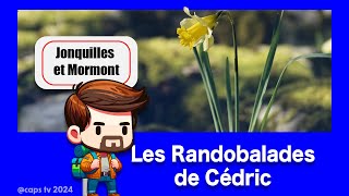 Randobalade - Jonquilles et Mormont