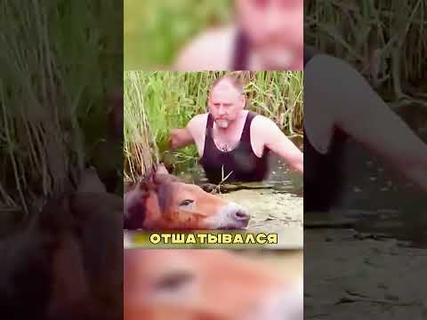 Храбрый мужик ПОМОГ дикой лошади 🫡🔥👏