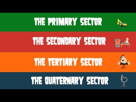 The Economic sectors / the sectors of the economy