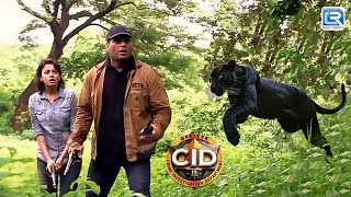 CID हुई एक Famous Actor पर Threats की जांच करने के लिए Undercover  | CID | सी.आई.डी | Full Episode