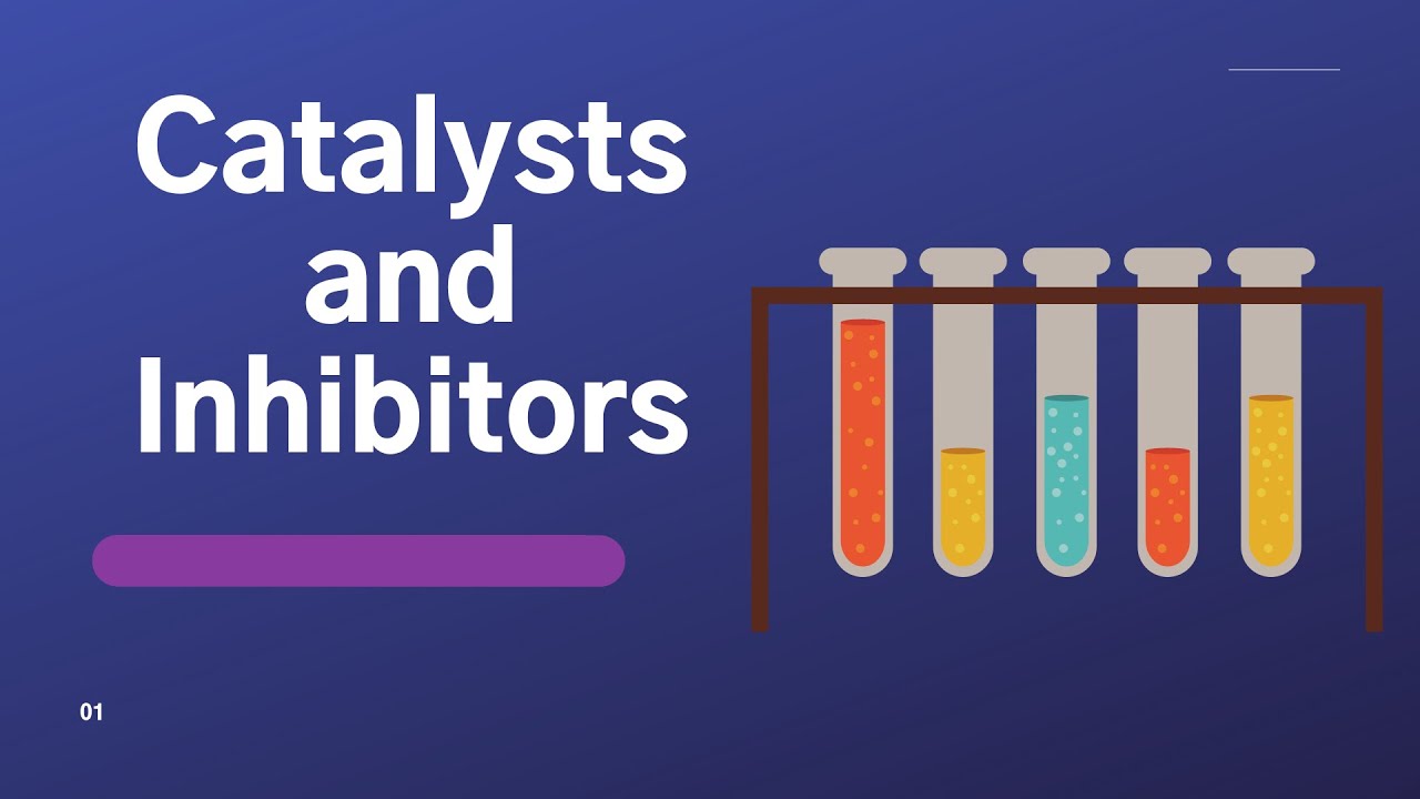 Catalyst And Inhibitors YouTube Catalyst And Inhibitors YouTube