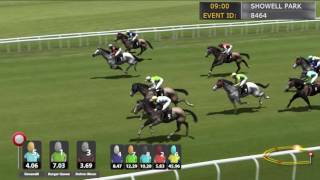 Horses Jumps screenshot 3