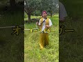 フィリピンで仕事捗らない職人