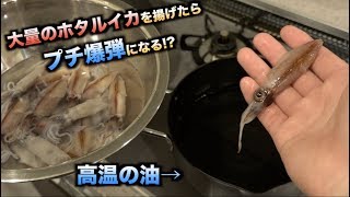 爆発！？大量のホタルイカをそのまま揚げまくった結果・・・