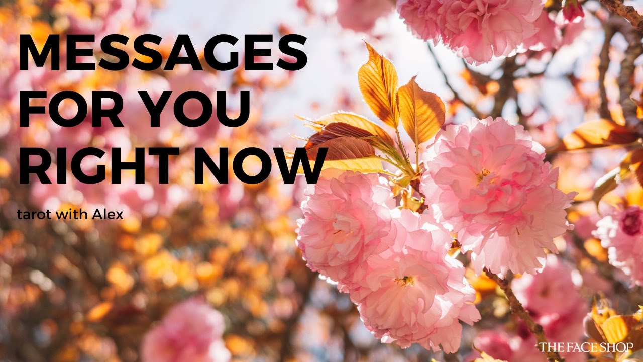 Thông điệp dành cho bạn lúc này - timeless | tarot