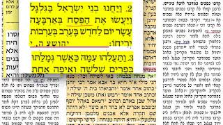 הדף יומי- זבחים קיח 118 חמישי כ״ח אב  תשע״ח