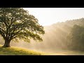 【醒來後先別急】這幾分鐘,讓你一整天更專注|早晨冥想 LIVE