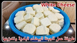 طريقة عمل الجبنة البيضاء البلدية من الصفر وتخزينها لأطول مدة وحساب تكلفة إنتاجها || White Cheese