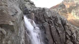 Radonovoe-Bogdanikha 2014