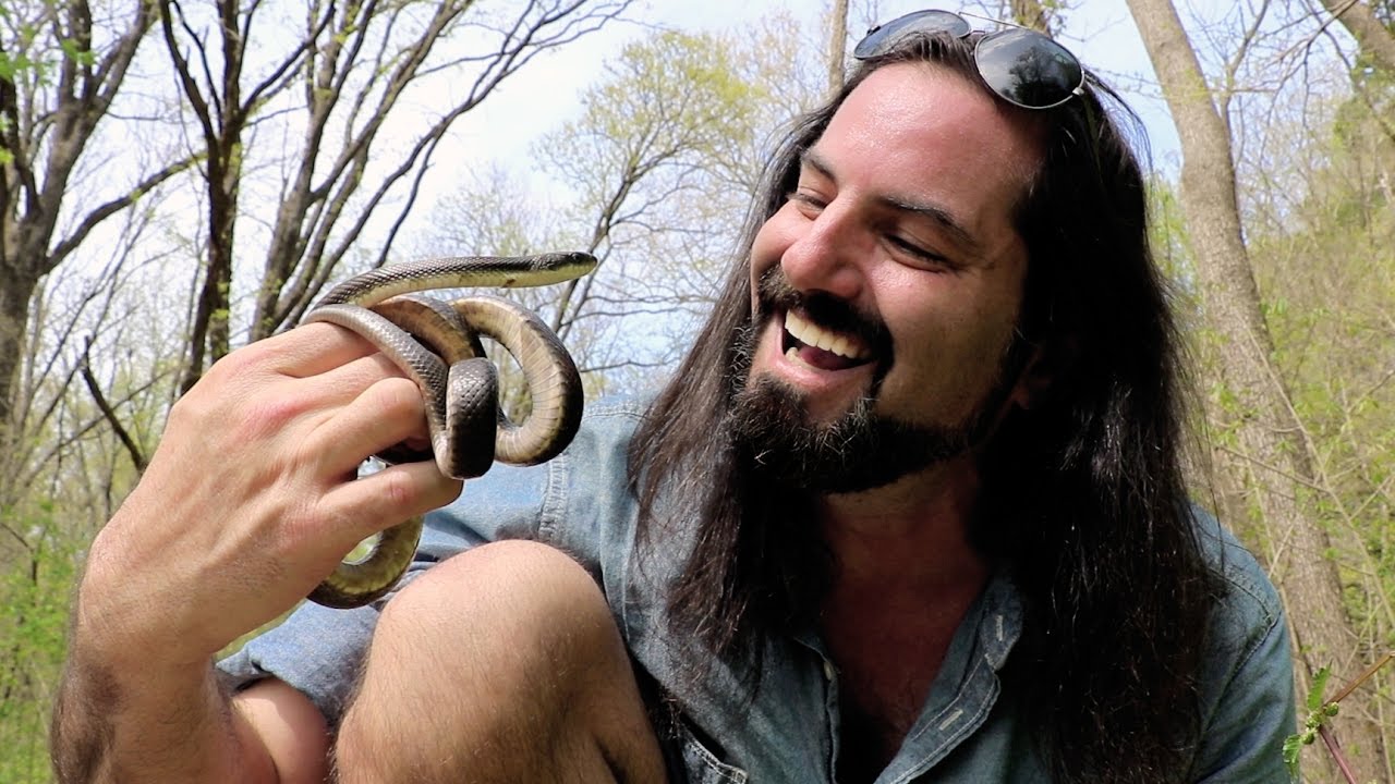 rough green snake for sale near me SNAKE ROAD! - Dāv Kaufman