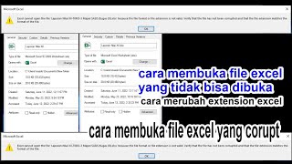 Tutorial Cara Membuka File Excel Corupt mengganti extension xls xlsx