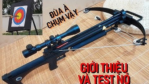 TEST ĐỘ CHỤM VÀ GIỚI THIỆU NỎ SĂN  ĐẠI ƯNG VƯƠNG BẮN BI SẮT VÀ MŨI TÊN PHẠM VI HIỆU QUẢ 120 M | 8 CỦ