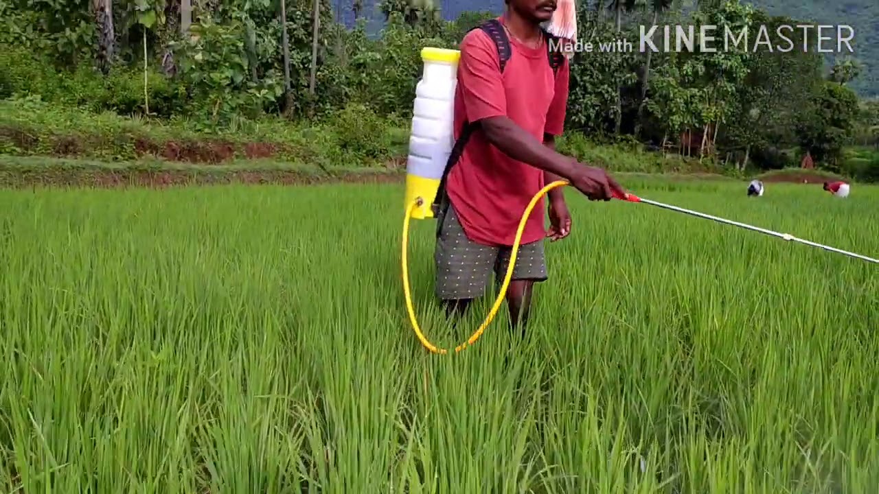 galway agriculture  products