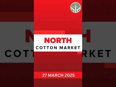 27/03/25 North cotton market rate today || उत्तरी भारत का कपास बाजार  #shorts #ytshorts #smartinfo