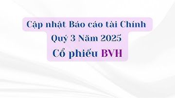 Cập nhật Báo cáo tài chính Quý 3 Năm 2025 của cổ phiếu BVH