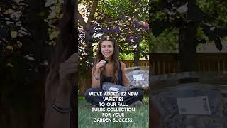 Spice up your 2027 garden! Pre Order Fall Bulbs at True leaf Market.com #bulbplanting #gardening