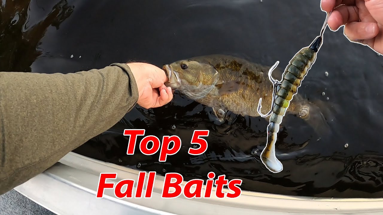 5 Favourite Fall Baits for Bass Fishing YouTube