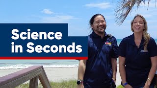 Leatherback Sea Turtle Research | Science in Seconds
