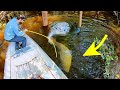 The MOST DIFFICULT FRESHWATER FISH TO CATCH?! (MASSIVE)