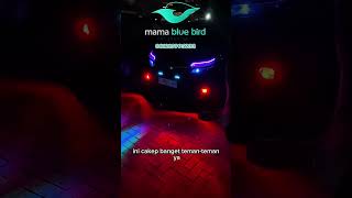 Pusat penjualan resmi unit ex Bluebird, hub wa : 081215995233  #car #jualmobilbekas #trending #fyp