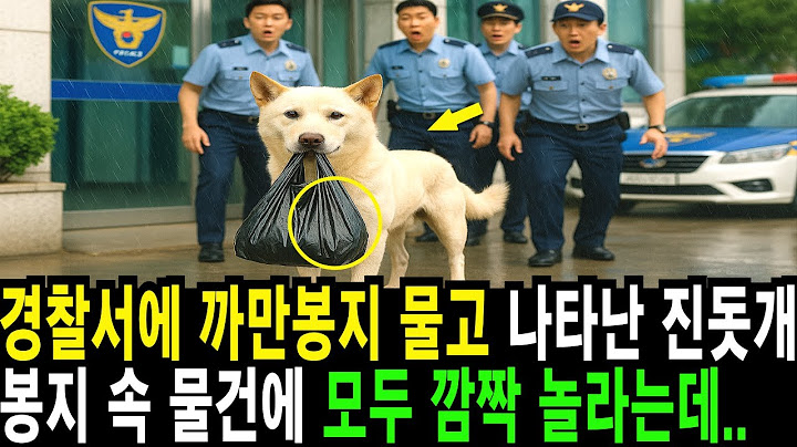 경찰서에 무언가를 물고 나타난 진돗개 봉지 속 물건에 모두 깜짝 놀라는데..