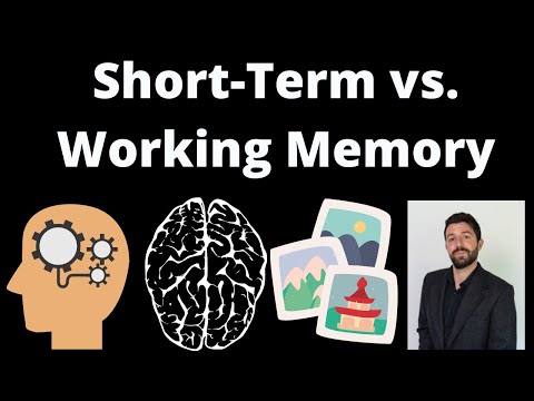 Video: Jaký je rozdíl mezi krátkodobou pamětí a pracovní pamětí?
