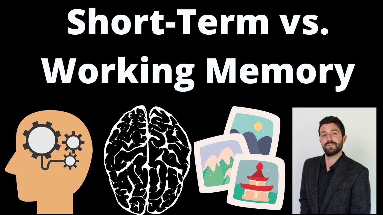 igualdad Relajante Fatal working memory vs short term memory firma ...