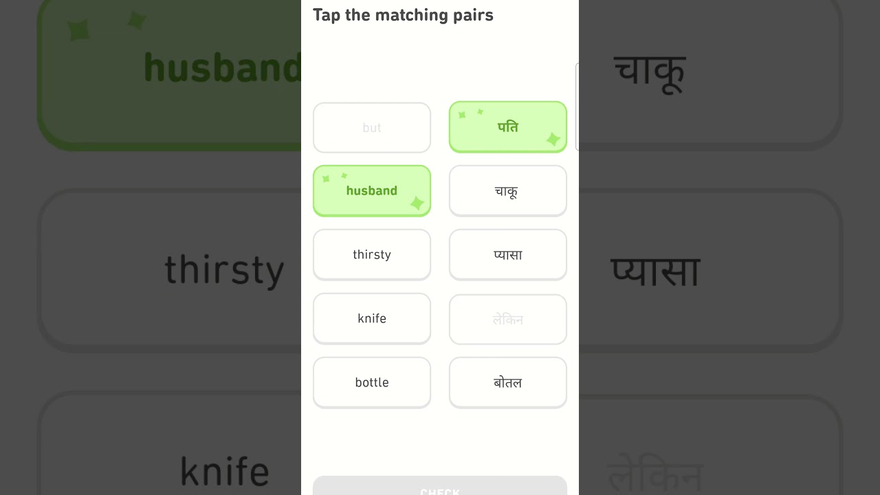 Duolingo Hindi Lesson