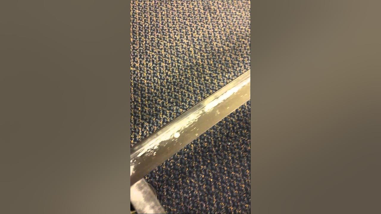 Hotel Hell! Bed Bugs! YouTube